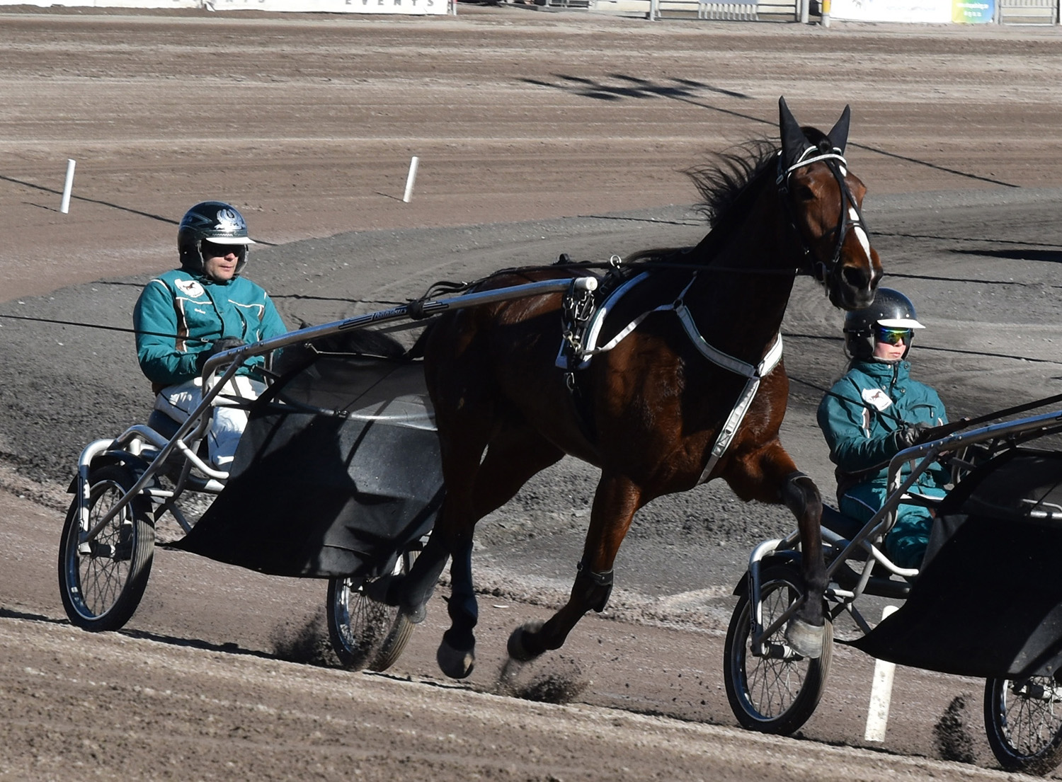 På onsdag får vi se Elderly med sin tränare Pasi Aikio i kvallopp. Foto; A.Lindblom